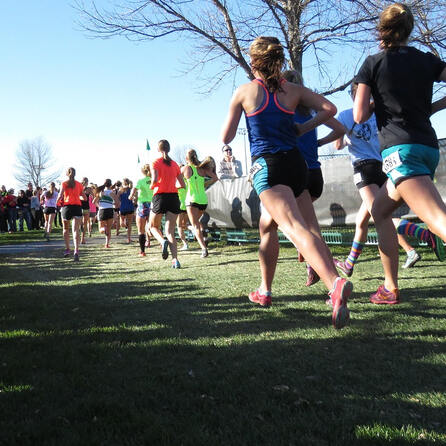 Parkrun Augsburg: Erster Testlauf im Siebentischwald am Samstag