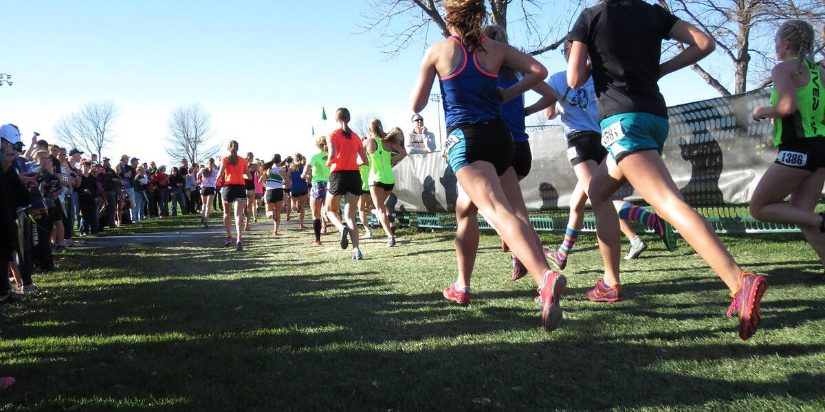 Parkrun Augsburg: Erster Testlauf im Siebentischwald am Samstag