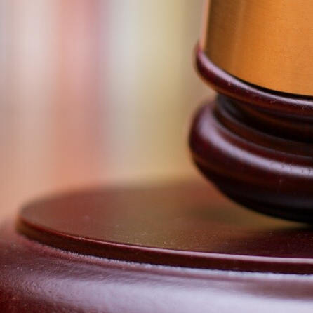 Landwirt aus dem Landkreis Aichach-Friedberg wegen Tierquälerei verurteilt