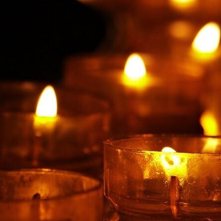 Kissing: Toter Hund illegal neben Altkleidercontainer "entsorgt"