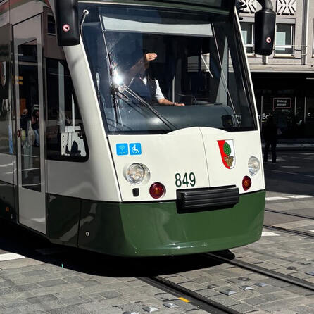 Straßenbahnring und Bäume: ÖDP Augsburg und AltAugsburgGesellschaft starten zwei Bürgerbegehren