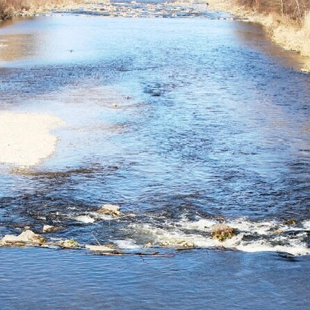 Maßnahmen an der Wertach in Augsburg/Oberhausen:  Arbeiten zur Stabilisierung des Flussufers und Flussgrundes