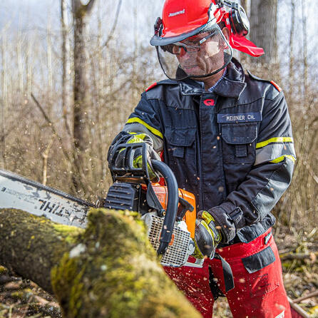 Eschentriebsterben bedroht Bäume in Augsburg: Sicherheitsmaßnahmen entlang des Brunnenbachs