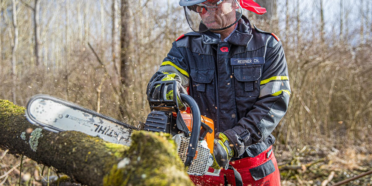 Eschentriebsterben bedroht Bäume in Augsburg: Sicherheitsmaßnahmen entlang des Brunnenbachs