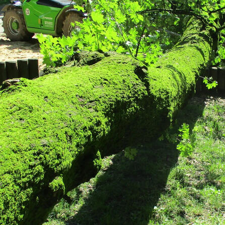 Windpark Bobingen-Burgwalden: BI fordert Stopp des Genehmigungsverfahrens