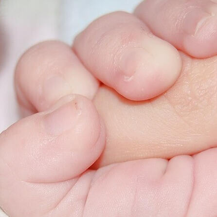 Augsburger Josefinum auch 2025 geburtenstärkste Klinik in Bayern