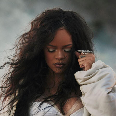 Schüsse auf Villa von Rihanna in Beverly Hills