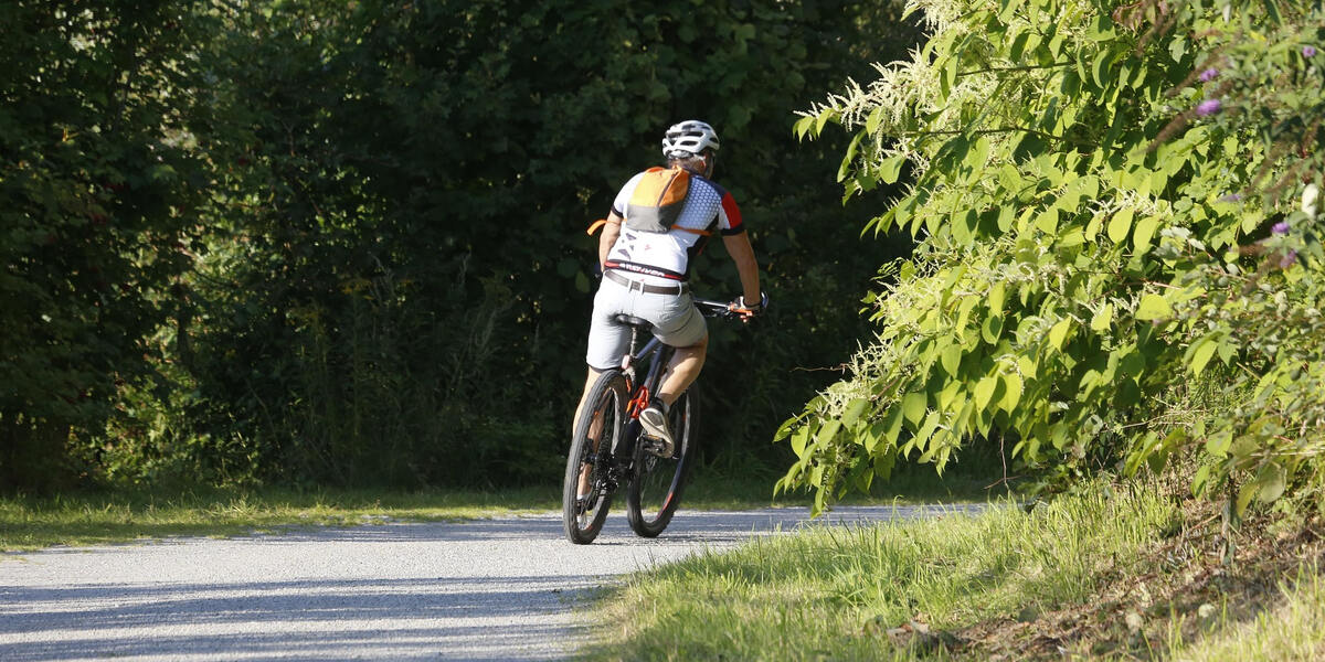 Allgäu als Top-Radregion in Deutschland ausgezeichnet: Radrunde Allgäu erhält Vier-Sterne-Auszeichnung des ADFC