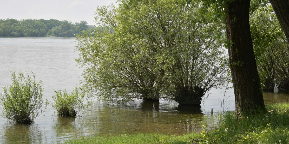 Offinger Feuerwehrmann gefunden - DNA Analyse bestätigt