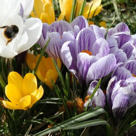 In fünf Wochen eröffnet Dehner in Königsbrunn