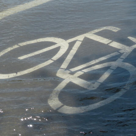 Radwegenetz Augsburg: Stadträte planen neue Vorrangrouten - Diskussionen um Stellplatzwegfall und Verkehrskonzept