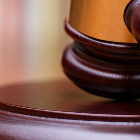 Naturschützer kritisieren den Neubaubeschluss zur Scheidtobelbahn im Oberallgäu scharf