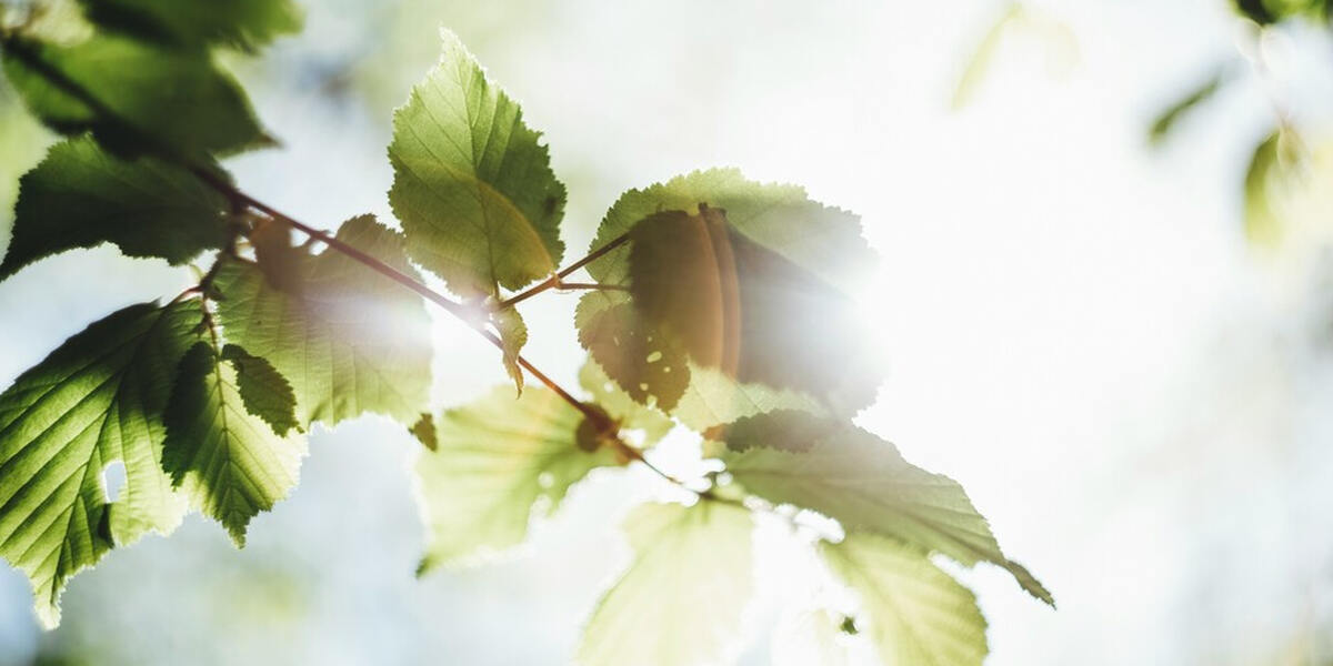 Daniela Groß wird im Kreis Landsberg die erste bayerische grüne Landrätin