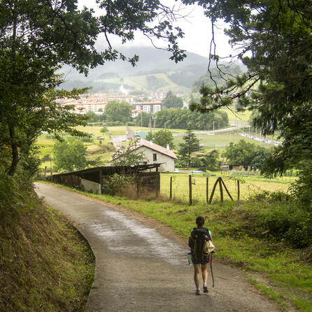 Zwei Allgäuer Wanderwege für Deutschlands schönster Wanderweg nominiert - Ein Hochmoor und alpine Gipfel im Rennen um die Wanderkrone