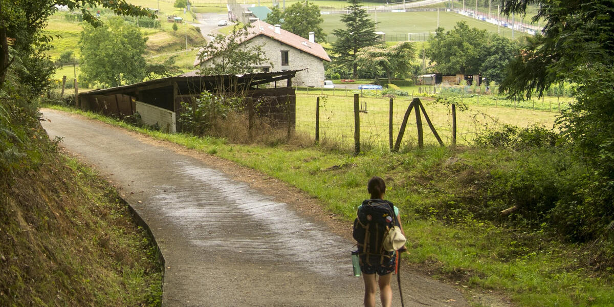 Zwei Allgäuer Wanderwege für Deutschlands schönster Wanderweg nominiert - Ein Hochmoor und alpine Gipfel im Rennen um die Wanderkrone