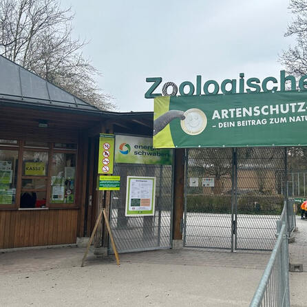 Im September fertig: Zoo Augsburg baut am Himalaya-Land
