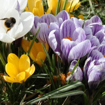 Saisonbeginn: Stadt Augsburg öffnet Hof- und Kräutergarten