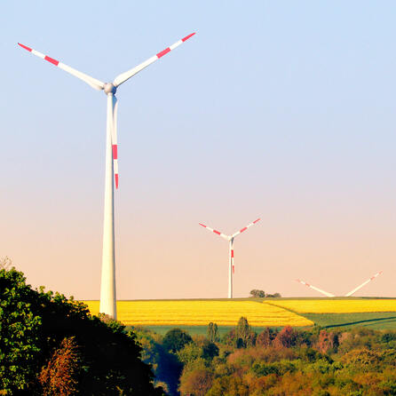 Augsburger Klimaschutz-Monitoring: Neue Plattform zeigt Fortschritte städtischer Klimaschutzmaßnahmen