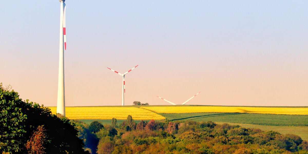 Augsburger Klimaschutz-Monitoring: Neue Plattform zeigt Fortschritte städtischer Klimaschutzmaßnahmen