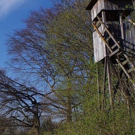Austausch von 2.000 Wanderwegschildern im Naturpark Augsburg-Westliche Wälder