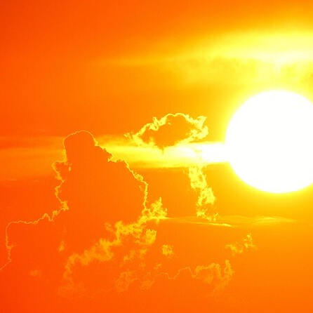 Oberndorf am Lech hat Süddeutschlands größte Agri-PV-Anlage