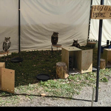 Tierquälerei auf dem Mittelaltermarkt Dillingen