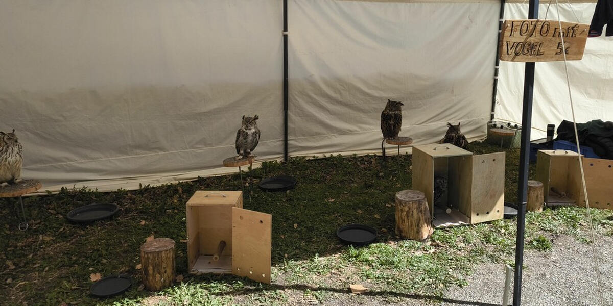 Tierquälerei auf dem Mittelaltermarkt Dillingen