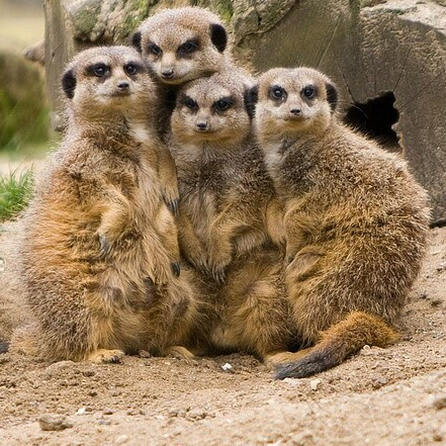 Naturschauspiel: In Kaufbeuren blitzt es besonders oft