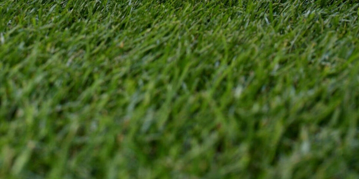 Landratsamt Augsburg warnt vor Rasenmährobotern