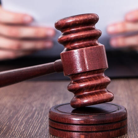 Tierquälerei: Frau muss ein Jahr ins Gefängnis