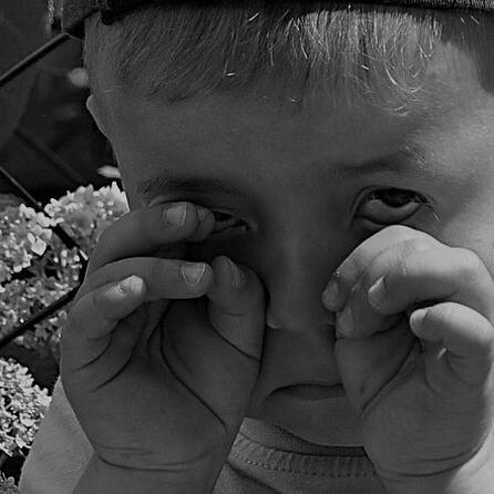 Augsburg: Neue Pflegefamilien gesucht