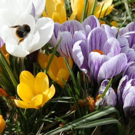 Gewerbegebiet Königsbrunn-Nord: Dehner feiert Wiedereröffnung