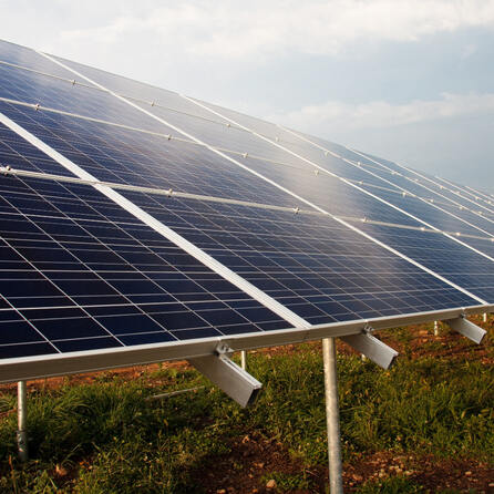 Cow-PV-Anlage in Biessenhofen jetzt im Einsatz: Nachhaltige Energielieferung für Firma und besseres Mikroklima