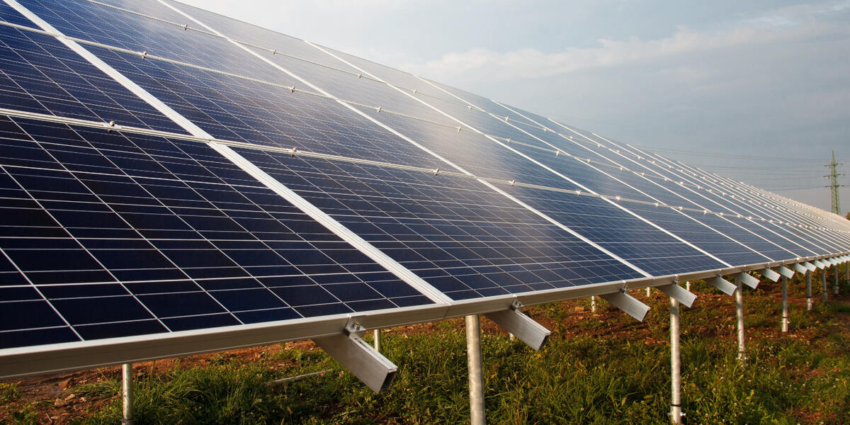 Cow-PV-Anlage in Biessenhofen jetzt im Einsatz: Nachhaltige Energielieferung für Firma und besseres Mikroklima