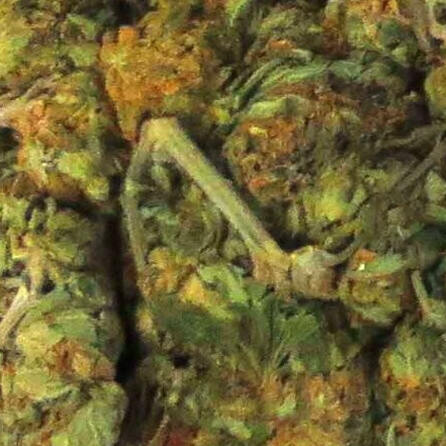 Schwabmünchen: Mit Joint und Auto zur Polizei