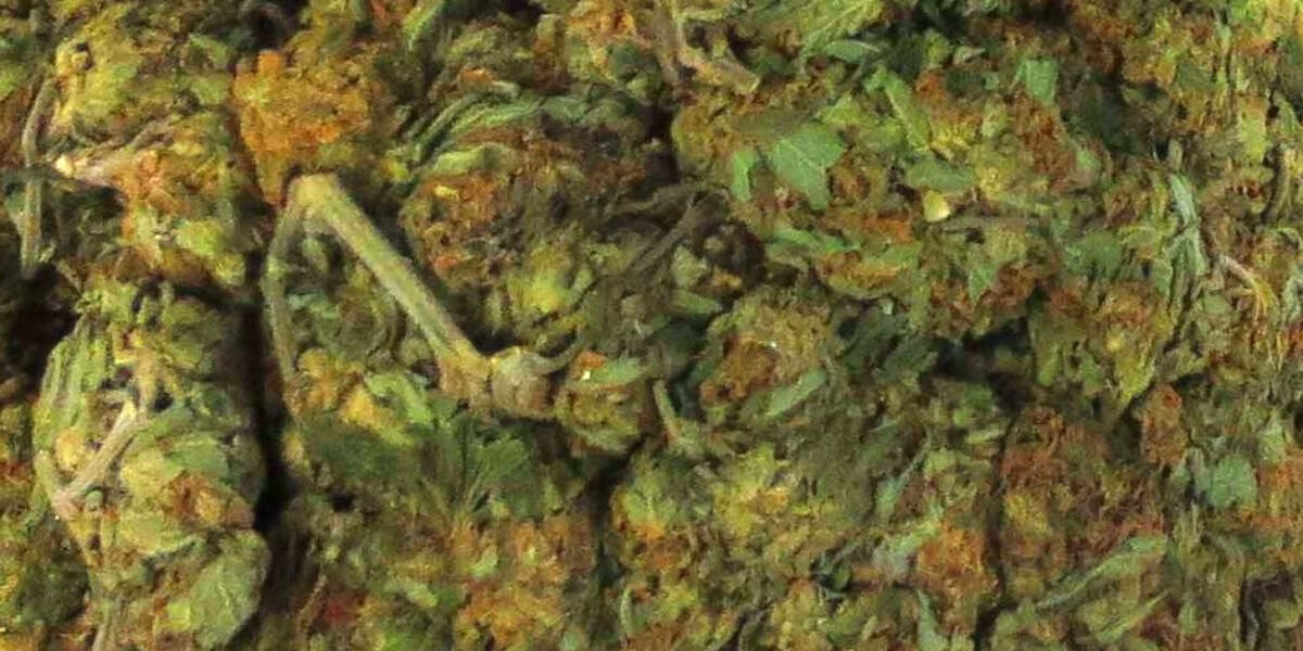 Schwabmünchen: Mit Joint und Auto zur Polizei