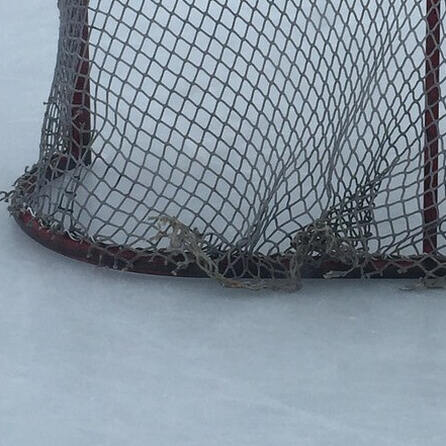 Eishockey-Oberliga: Steigt der ECDC Memmingen heute in die DEL2 auf?