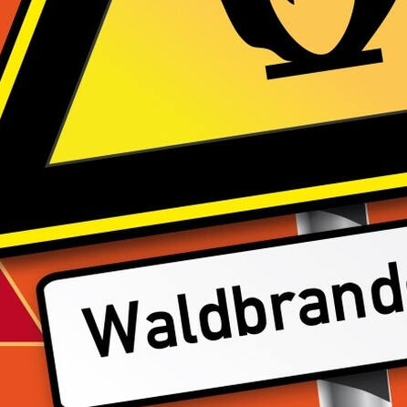 Stadt und Umland Augsburg: Waldbrandgefahr steigt erheblich