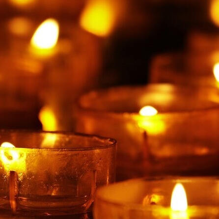 Schlangenvorführung in Ägypten: Unterallgäuer stirbt nach Biss