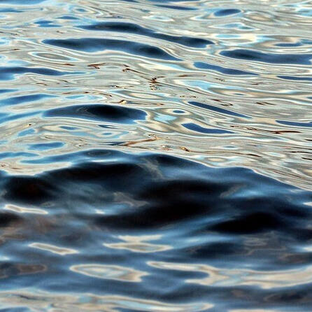 Bagger kippt ins Wasser: Dieselalarm im Hopfensee
