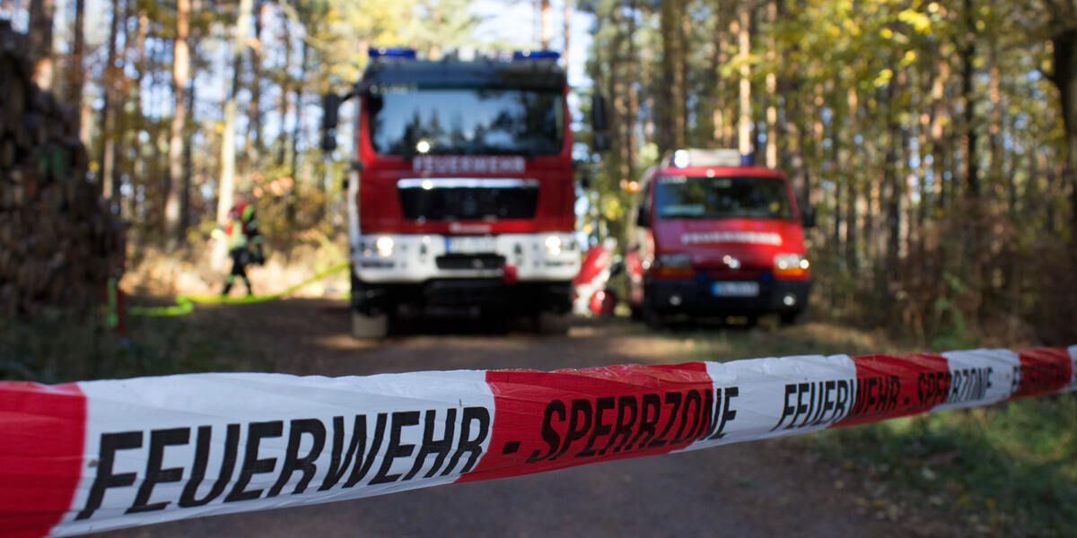 Waldbrandgefahr in Augsburg: Forst-Chef warnt vor Risiken und rät zur Achtsamkeit