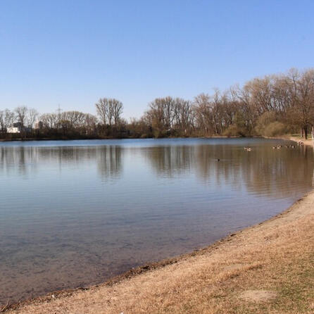 Große Auswahl für Naturwasser-Ratten in Augsburg