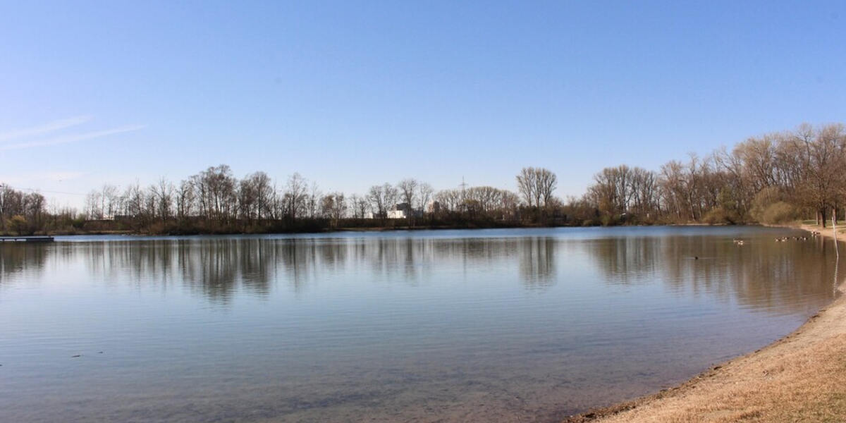 Große Auswahl für Naturwasser-Ratten in Augsburg