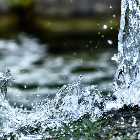 Wassermangel im Benninger Ried bei Memmingen trocknet Bachläufe aus