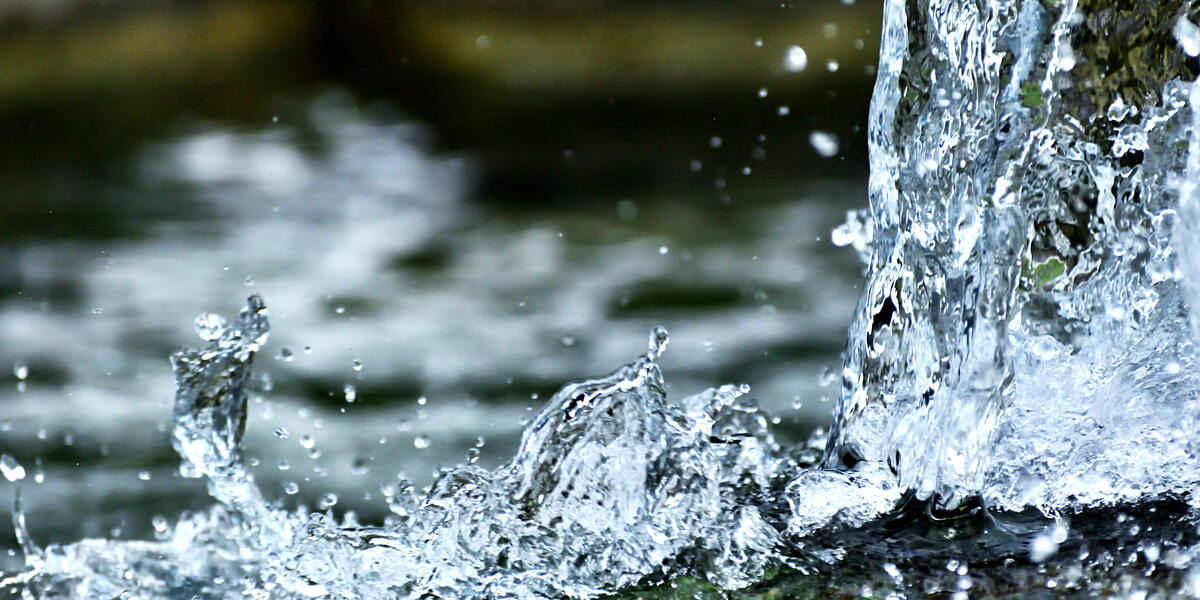 Wassermangel im Benninger Ried bei Memmingen trocknet Bachläufe aus