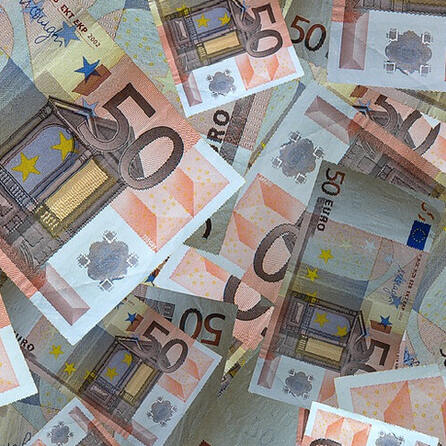 Blaichach muss für horrende Unterbringungskosten für private Giftschlangen selbst aufkommen
