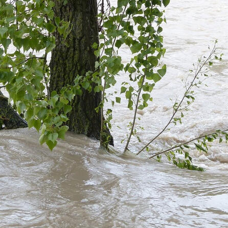 Dinkelscherben, Zusmarshausen, Altenmünster, Villenbach, Zusamaltheim und Wertingen intensivieren Hochwasserschutz-Zusammenarbeit