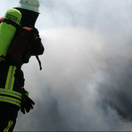 Holzgünz: Brennende Krähe löst Wiesenbrand aus