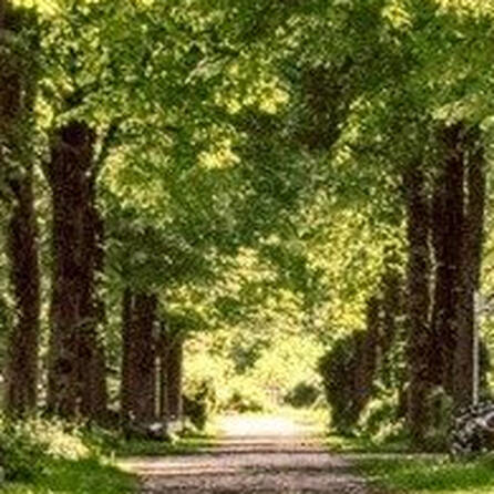 Neuer Park für Augsburg - Jakobervorstadt-Nord blüht auf