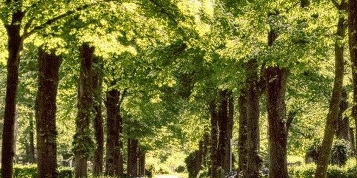 Neuer Park für Augsburg - Jakobervorstadt-Nord blüht auf